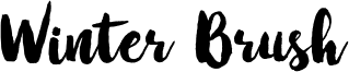 Winter Brush Font