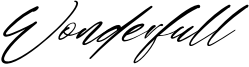 Wonderfull Font