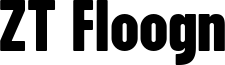 ZT Floogn Font