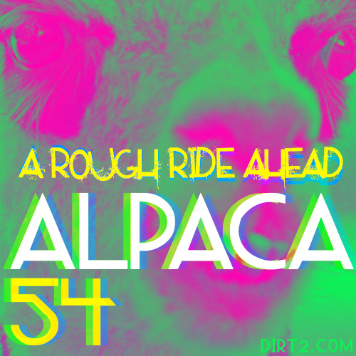 Alpaca 54