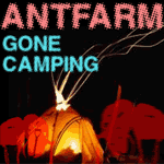 Antfarm