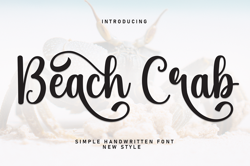 Beach Crab