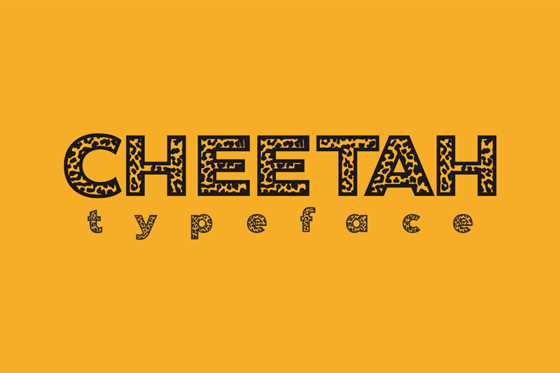 Cheetah
