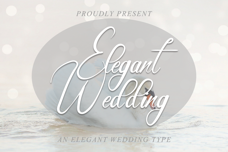 Elegant Wedding