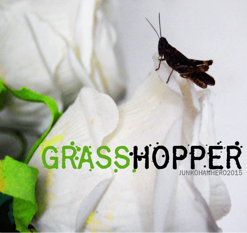 Grasshopper Z