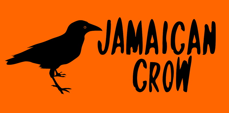 Jamaican Crow