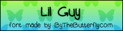 Lil Guy