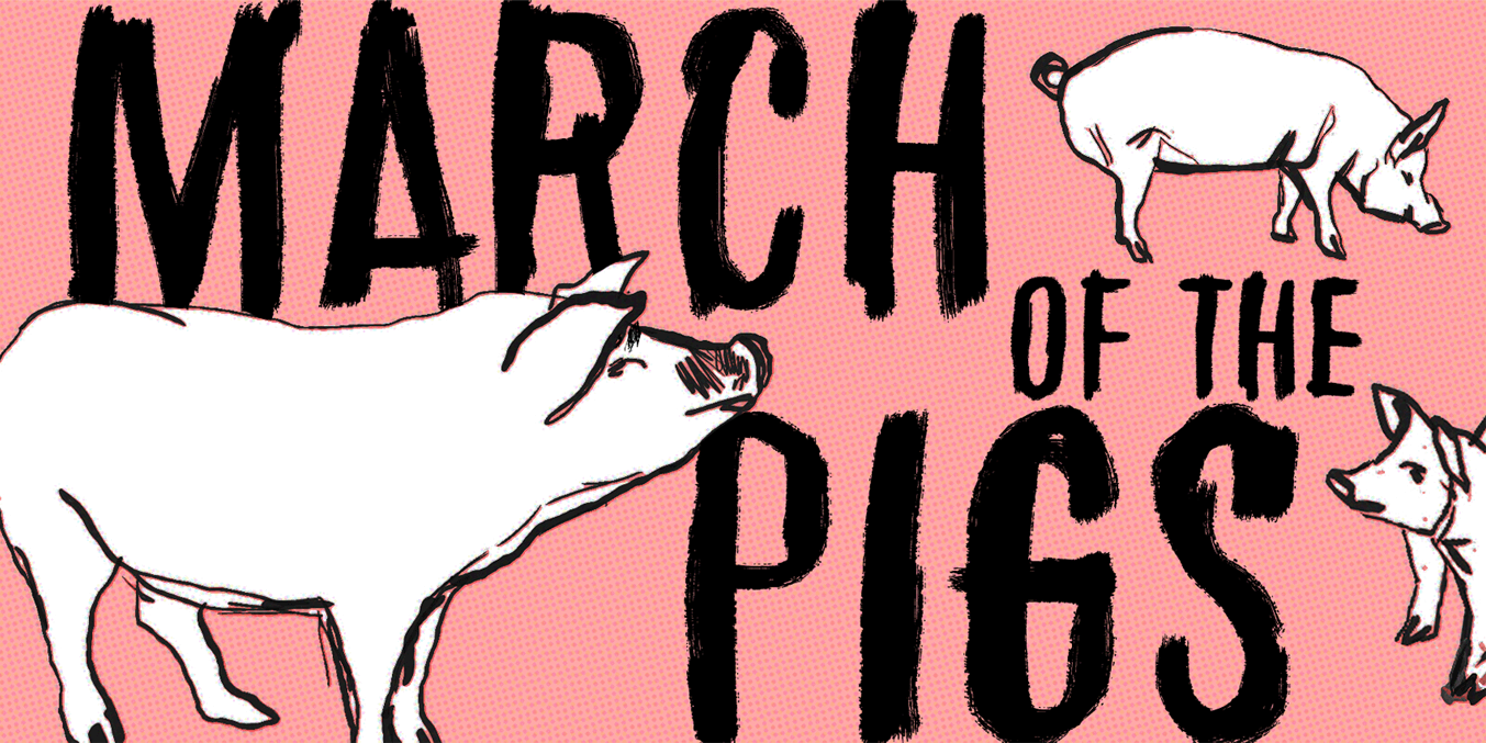 March of the pigs