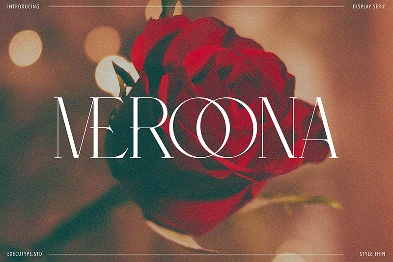 Meroona Display Serif