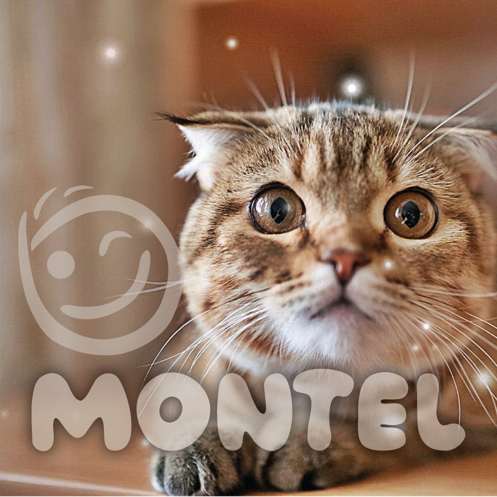 Montel