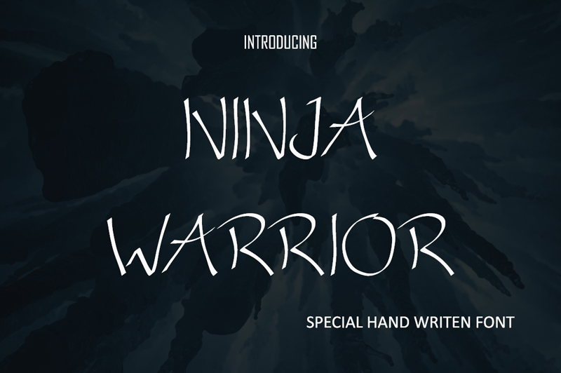 Ninja Warrior