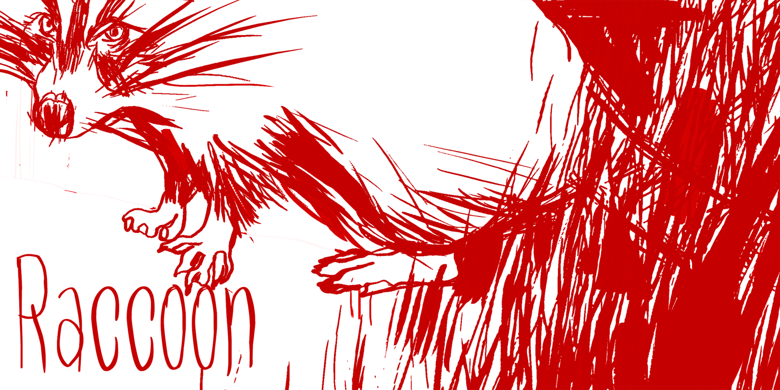 Raccoon