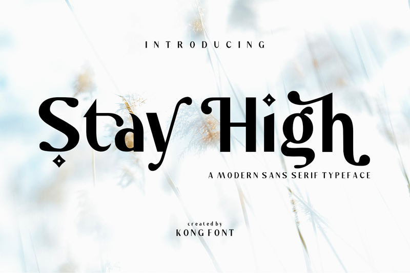 Stay High