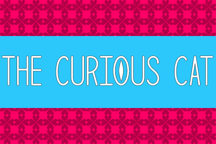 The Curious Cat