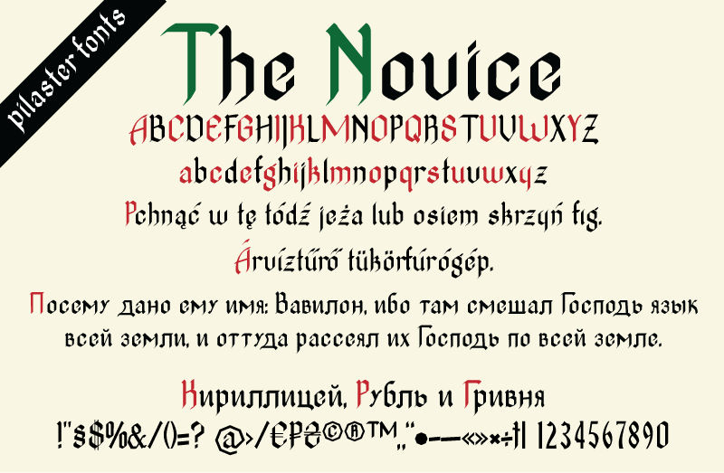 The Novice