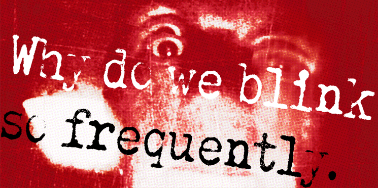 Why do we blink so frequently